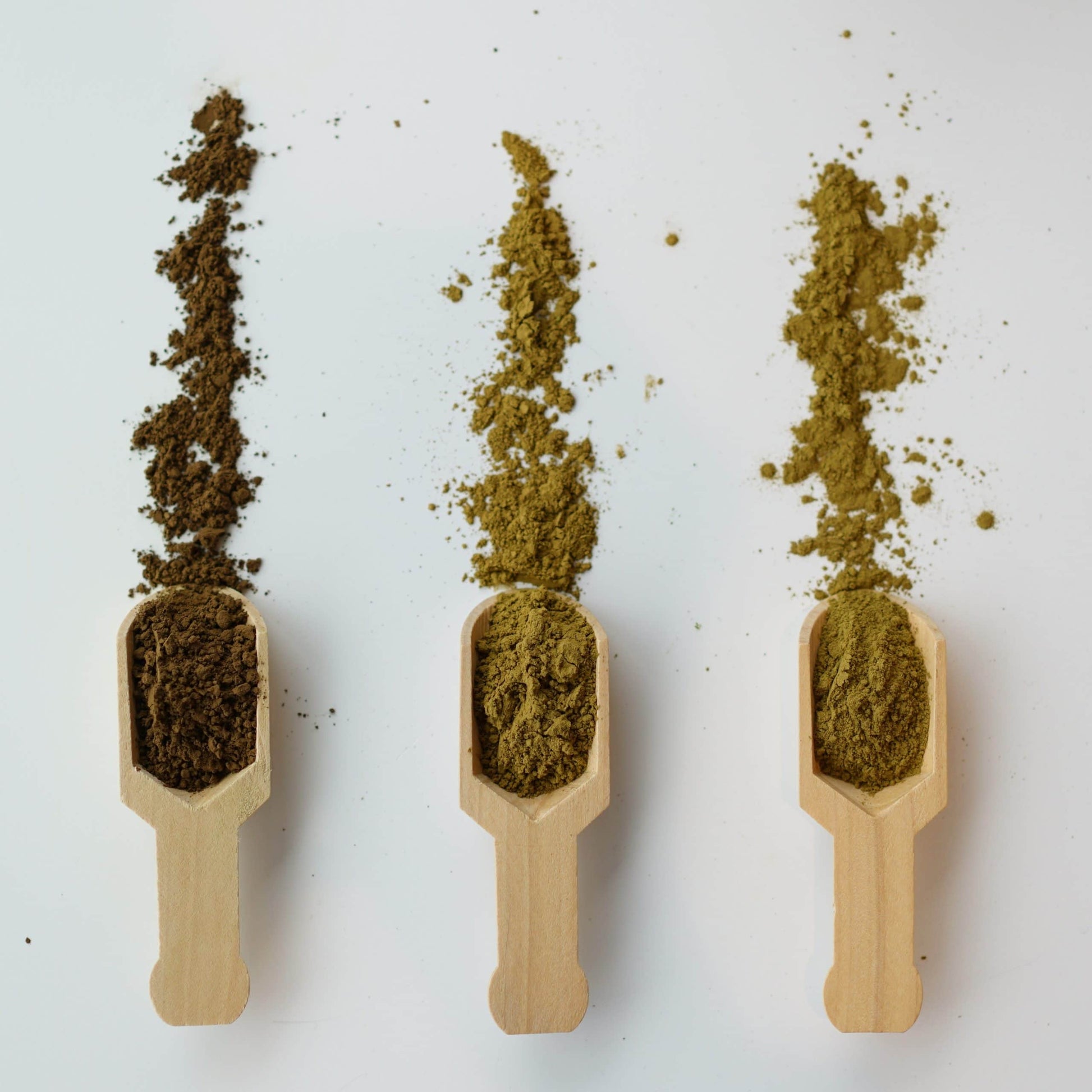 Hojicha Powder Trio (100g x 3)