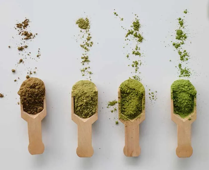 Matcha tea powder in different color showing the difference between Ceremonial Grade and others.