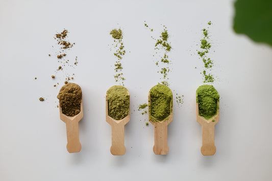 The Ultimate Tea Powder Discovery Kit